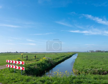 Téléchargez les photos : Prairies et fleurs printanières à eempolder entre amersfoort et amsterdam à holland sous le ciel bleu - en image libre de droit