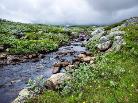 Foto de Arroyo de montaña y el fondo nublado en hallingskarvet parque nacional en norway - Imagen libre de derechos