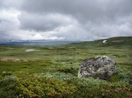 Foto de Roca cerca de las montañas en hallingskarvet parque nacional de norway - Imagen libre de derechos