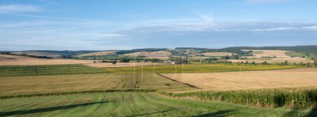 Téléchargez les photos : Paysage rural lorrain avec champs et tournesols près de verdun dans le nord de la France - en image libre de droit