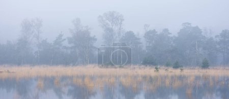 tranquil scene of flooded leersumse veld in dutch province of utrecht on foggy morning near utrecht in the netherlands