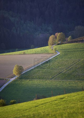 Felder bilden abstraktes Muster in frühmorgendlicher Landschaft im Sauerland