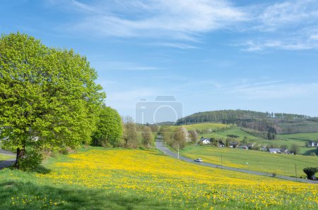 blauer Himmel über der Frühlingslandschaft im Sauerland mit Bäumen und blühenden Löwenzahnfeldern