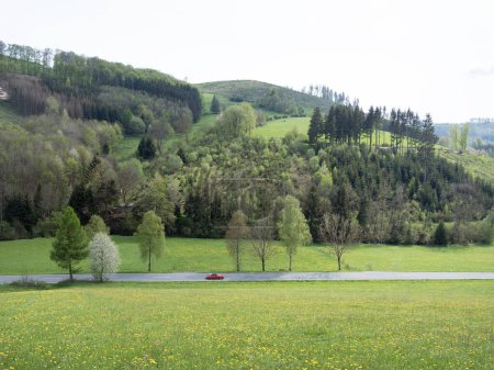 porsche on road in spring valley near winterberg in german sauerland and beautiful countryside landscape
