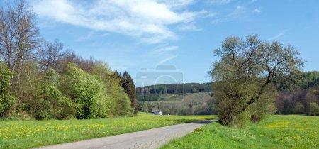 blooming flowers and trees with distant farm in valley near winterberg in sauerland under blue sky in spring