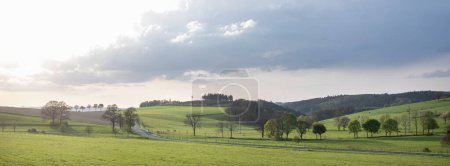 ländliche Landschaft mit grünen Wiesen mit Kühen und Bäumen bei Sonnenuntergang im Sauerland im Frühling