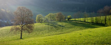 frische Laubbäume und Felder in Dorfnähe in schöner sauerländischer Landschaft im Frühling in Deutschland