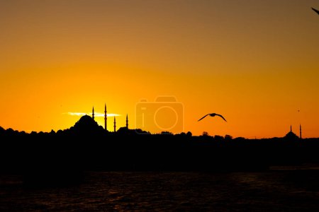 Foto de Silhouette of Istanbul at sunset with a seagull and mosques. Istanbul background photo. Ramadan or islamic concept photo. - Imagen libre de derechos