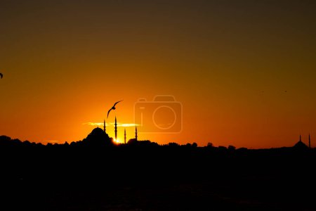 Suleymaniye and Fatih Mosque silhouettes with seagull at sunset. Ramadan or islamic background photo. Travel to Istanbul concept.