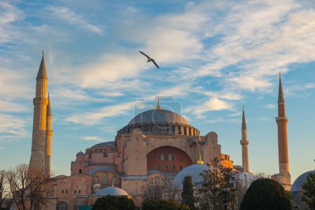 Photo for Hagia Sophia or Ayasofya Mosque with a seagull at sunrise. Travel to Istanbul background photo. Ramadan or islamic concept photo. - Royalty Free Image