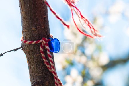 Photo for Martenitsa with blue heart shaped bead tied on the tree in focus. Balkan culture concept photo. - Royalty Free Image