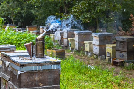 Foto de Apicultura o apicultura foto de fondo. Un fumador de abejas en la colmena en el colmenar. - Imagen libre de derechos