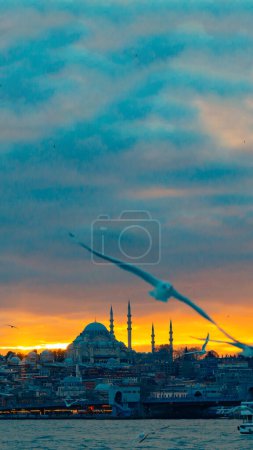 Istanbul. Möwe und Süleymaniye-Moschee bei Sonnenuntergang. Islamische oder Ramadan-Konzept Foto.