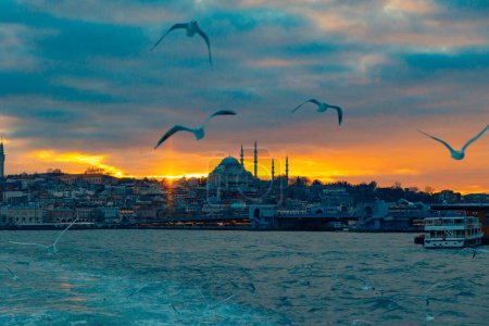 Istanbul view at sunset with mosque and seagulls. Visit Istanbul concept photo.