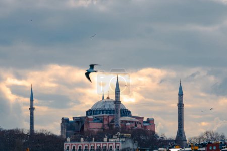 Hagia Sophia and a seagull. Ayasofya Mosque background photo. Visit Istanbul concept. Ramadan or islamic background.