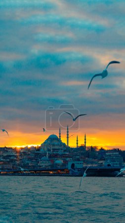 Süleymaniye-Moschee und Möwen am Himmel bei Sonnenuntergang. Besuchen Sie Istanbul Hintergrund vertikales Foto. Ramadan oder islamisches Konzept.