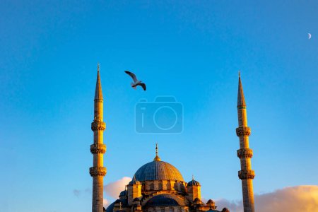 Eminonu Yeni Cami oder Neue Moschee bei Sonnenuntergang mit einer Möwe. Ramadan oder islamisches Hintergrundbild.