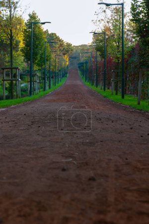 A jogging trail in a park with lightpoles in vertical shot. Jogging or running trails background photo.