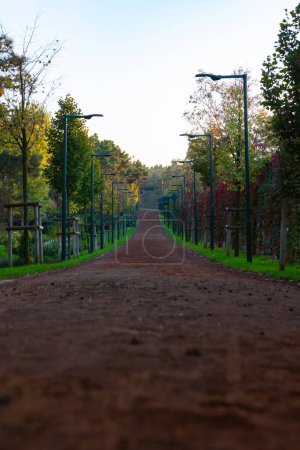 A jogging or running trail in a park from ground level in vertical shot. healthy lifestyle concept background.