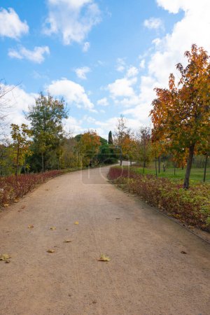 Jogging or hiking trail in a park in the autumn with partly cloudy sky.