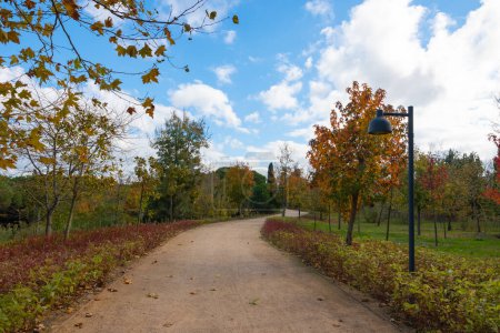 Jogging or running trail in a park in the autumn. Landscape architecture background photo.