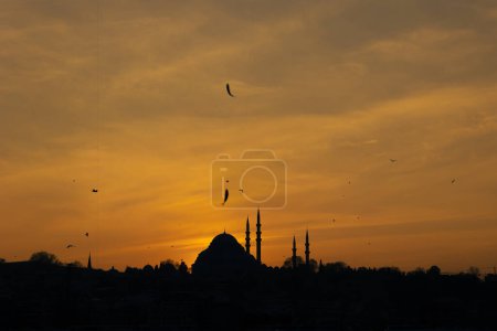 Silhouette of Suleymaniye Mosque and fishes on the fishing rod. Ramadan or islamic concept.