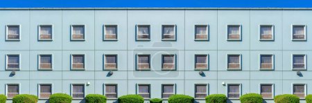 Photo for Abstract mirrored background Facade of a building with light blue interior and square single hung windows. There are topiary bushes at the bottom of the building located in San Francisco, California - Royalty Free Image