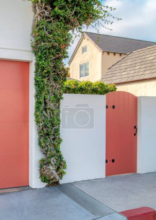 Photo for Vertical Garage and gate with coral pink palette at La Jolla, California. There is a crawling plant on wall in the middle of the gate and garage door with concrete driveway. - Royalty Free Image