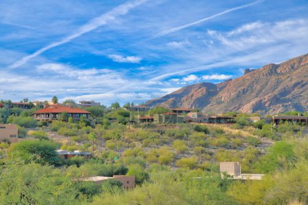Téléchargez les photos : Quartier en pente près des montagnes à Tucson, Arizona. Il y a peu de maisons sur une zone en pente avec des arbres et des arbustes sauvages près de la montagne sur la droite sur le fond nuageux ciel. - en image libre de droit