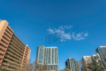 Photo for Austin, Texas- Mid-rise apartment buildings in a low angle view. There are trees at the front of the buildings with modern and classic designs against the sky. - Royalty Free Image