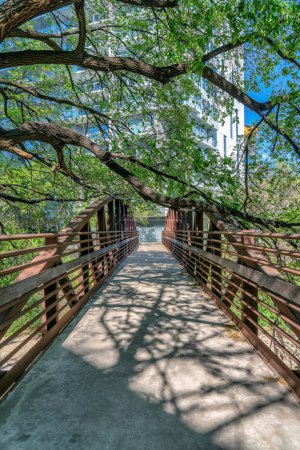 Téléchargez les photos : Austin, Texas - Pont piéton et vélo sous les branches des arbres. Pont étroit droit avec barrières en acier avec vue sur un bâtiment à l'arrière-plan. - en image libre de droit