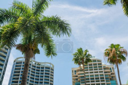 Téléchargez les photos : Palmiers à l'avant des condominiums modernes de grande hauteur à Miami, Floride. Façade d'un immeuble de luxe en copropriété avec terrasses sur le toit et balustrades en verre balcon. - en image libre de droit