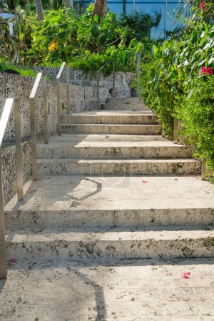 Photo for Outdoor stairs with stone steps and handrails at Miami, Florida. There are floor-mounted handrails on the left near the stone walls with plants at the top across the plants on the right. - Royalty Free Image