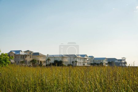 Photo for Field of tall grasses near the residential area at Destin, Florida. There is a field at the front and a view of row of villas with balconies against the sky background. - Royalty Free Image