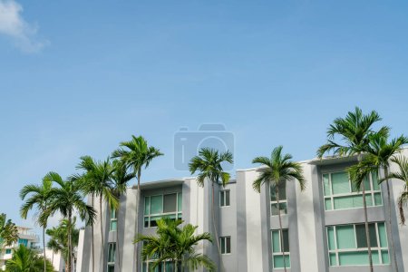Photo for Palm trees outside a low rise apartment with paned glass windows at Miami, Florida. Apartment building with white and gray wall exterior against the blue sky background. - Royalty Free Image