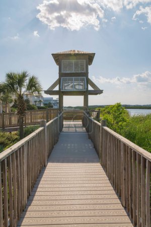 Photo for Destin, Florida- View of a small house roof over the boardwalk on a lake. Wooden pathway over the tall grasses in a lake near the residences. - Royalty Free Image