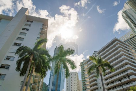 Palmeras adornadas y farolas antiguas en la parte delantera de los edificios bajo el sol en Miami, FL. Vistas de edificios de varios pisos con balcones desde abajo.