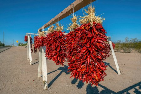 Photo for Hanging string chili peppers for sale on the side of the road at Tucson, Arizona. Row of hanging chilis on a wood stand against the view of a plants on the right and road on the left. - Royalty Free Image