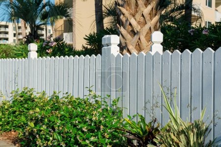 Foto de Destin, Florida- Plantas cerca de la cerca pintada de madera blanca. Cerca exterior con plantas verdes en la parte delantera y una vista de los árboles y edificios en el fondo. - Imagen libre de derechos