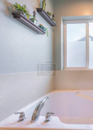 Téléchargez les photos : Vertical Sun flare Intérieur de la salle de bain avec baignoire près de la fenêtre avec succulent. Baignoire en alcôve avec robinet en acier inoxydable répandu et succulents sur les étagères flottantes à droite. - en image libre de droit