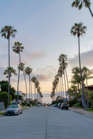 Vehicles parked at the side of a concrete road at La Jolla, California. Residential area with palm trees on the sidewalks and a view of the sea against the sunset sky background.