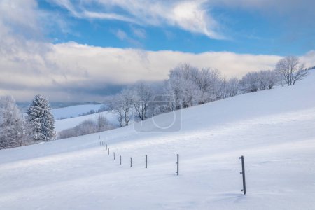 Téléchargez les photos : Vue d'un paysage hivernal enneigé avec des arbres recouverts de glace rime. La région d'Orava dans le nord-ouest de la Slovaquie, Europe. - en image libre de droit