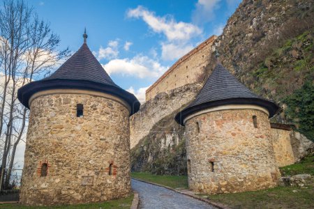 Téléchargez les photos : Tours d'entrée du château de Trencin en Slovaquie, Europe. - en image libre de droit