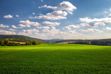 Foto de Paisaje rural de verano de campos verdes con nubes en el cielo azul en el día soleado. - Imagen libre de derechos