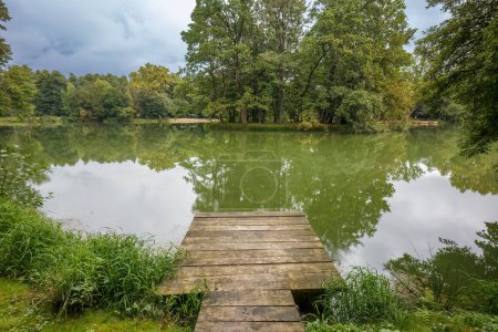 Téléchargez les photos : Passerelle en bois vers le lac dans le parc. - en image libre de droit