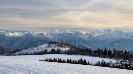 Téléchargez les photos : Paysage enneigé d'hiver avec des montagnes en arrière-plan. Parc national Mala Fatra en Slovaquie, Europe. - en image libre de droit