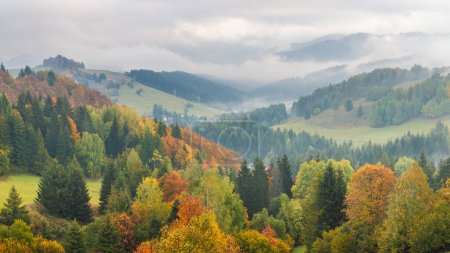 Photo for Autumn foggy landscape of hills with colorful trees. The Orava region of Slovakia, Europe. - Royalty Free Image
