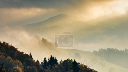 Foto de Paisaje montañoso brumoso otoñal con rayos de sol matutinos que brillan a través de las nubes. La región de Orava de Eslovaquia, Europa. - Imagen libre de derechos