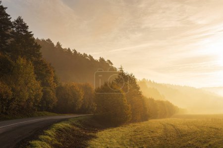 Téléchargez les photos : Un virage de la route à la lumière du matin d'un paysage d'automne brumeux. - en image libre de droit