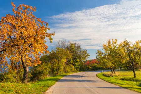 Téléchargez les photos : Une route à travers un pays d'automne par une journée ensoleillée
. - en image libre de droit